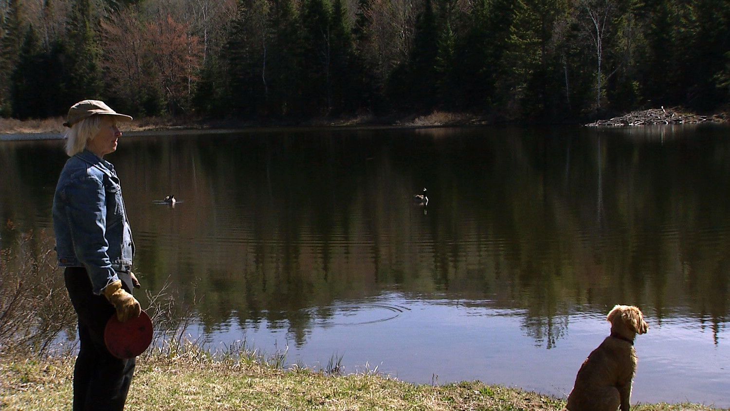 Backdrop for Paint Until Dawn: a documentary on art in the life of James Gahagan