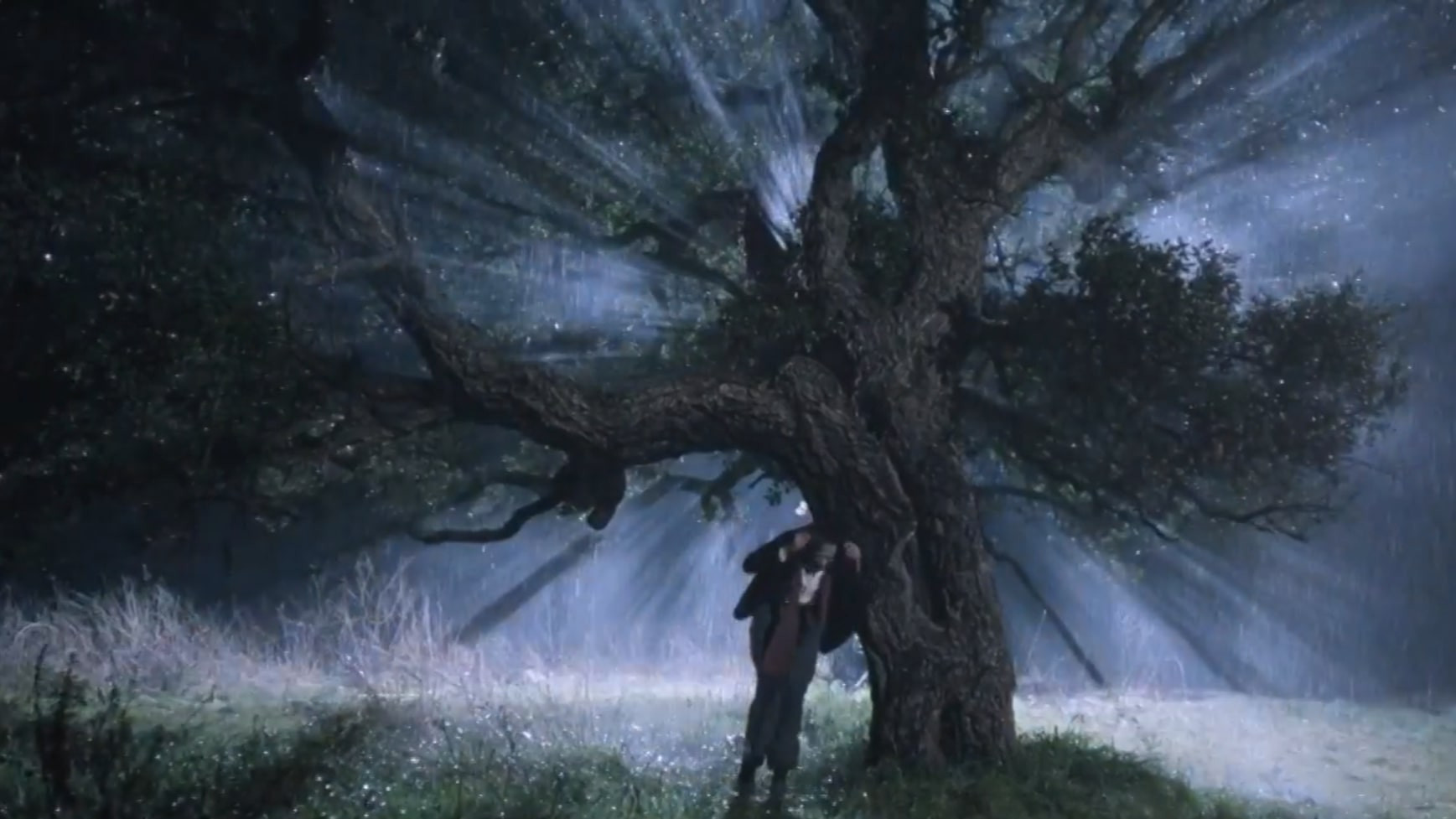 Backdrop for The Voice of the Moon