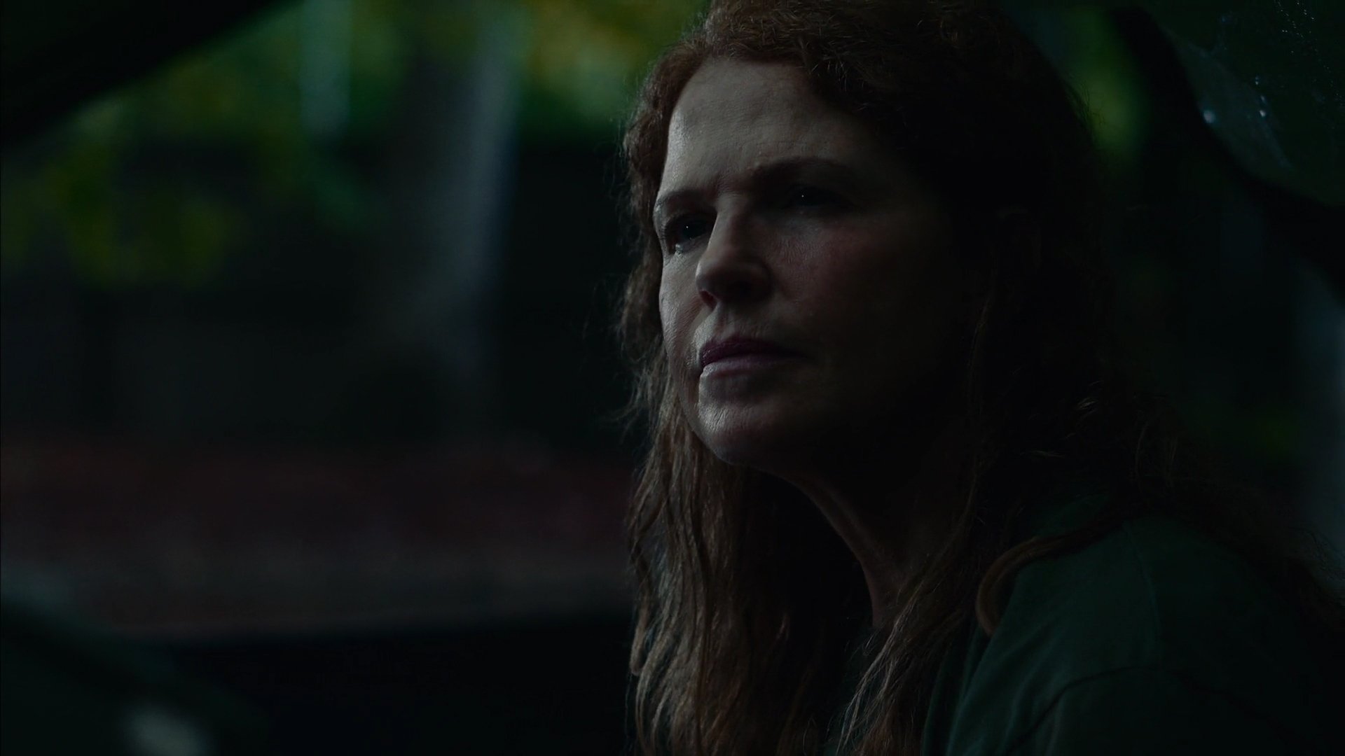 Backdrop for Fair Rain