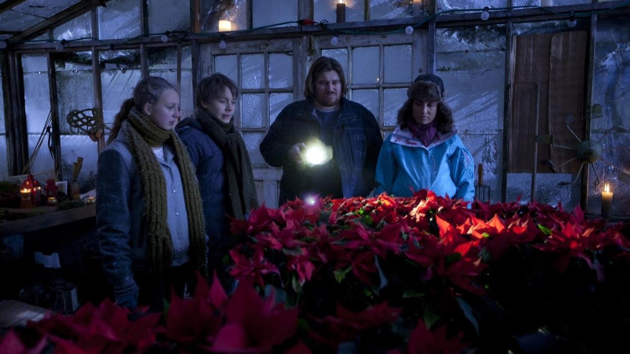 Backdrop for Julestjerner