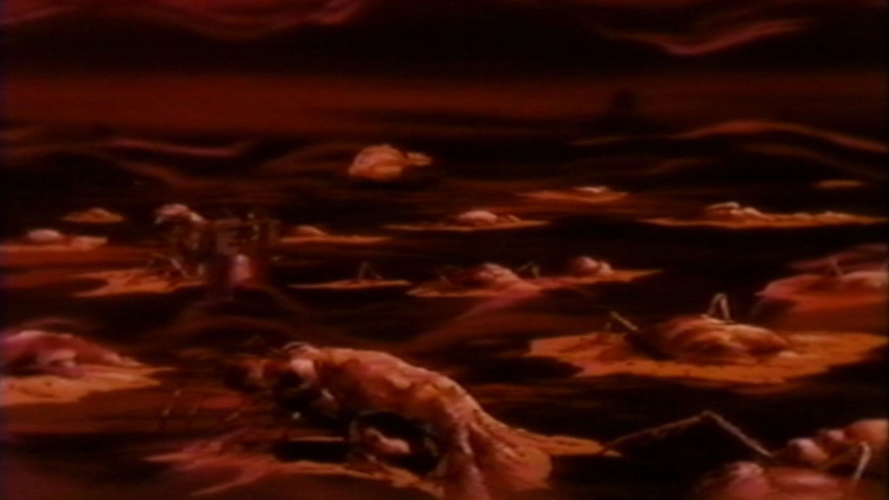 Backdrop for Hell Target