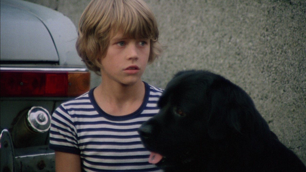 Backdrop for Hang on, Doggy