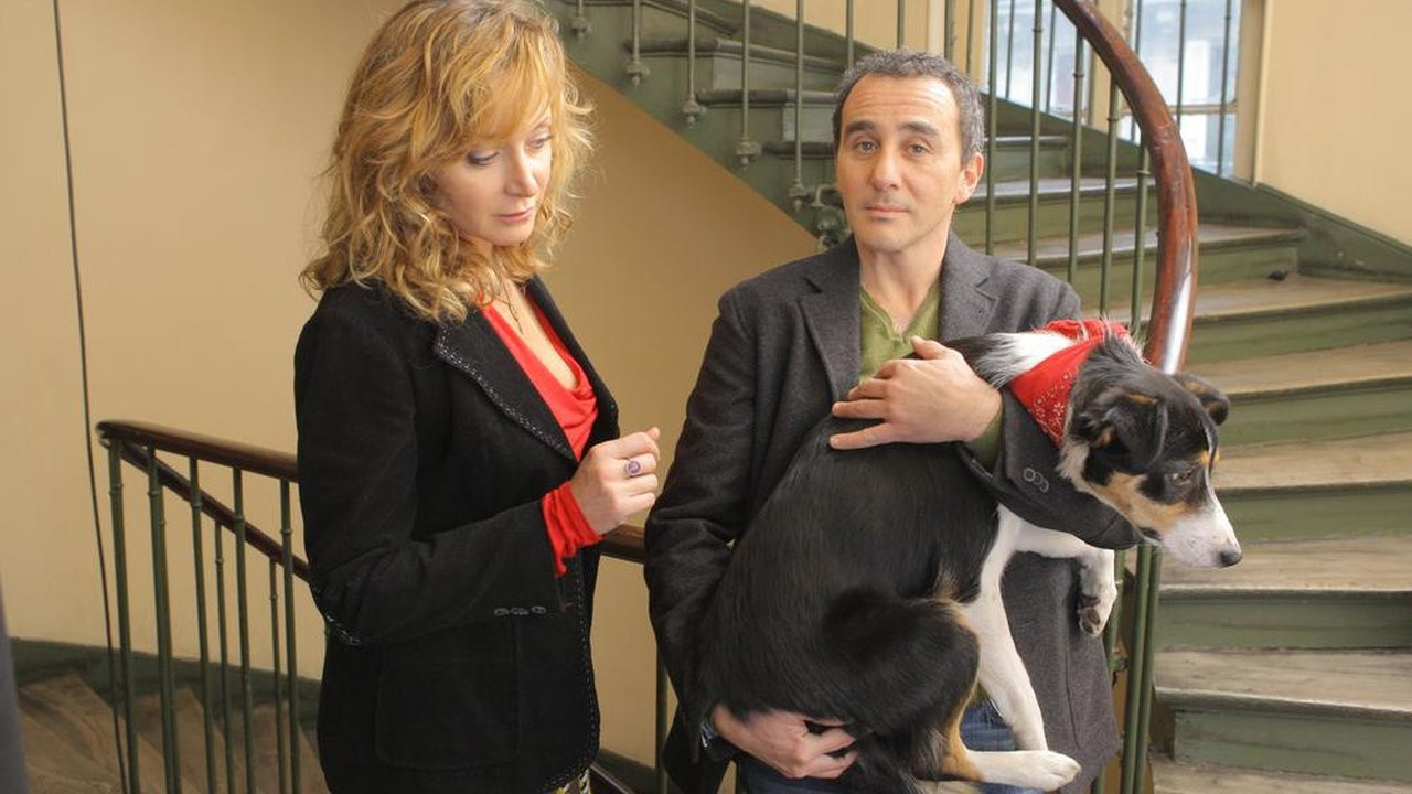 Backdrop for Un divorce de chien