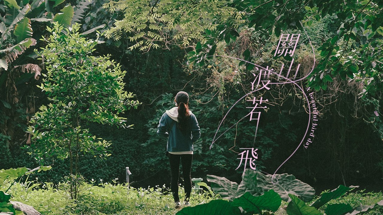 Backdrop for A Beautiful Bird Day