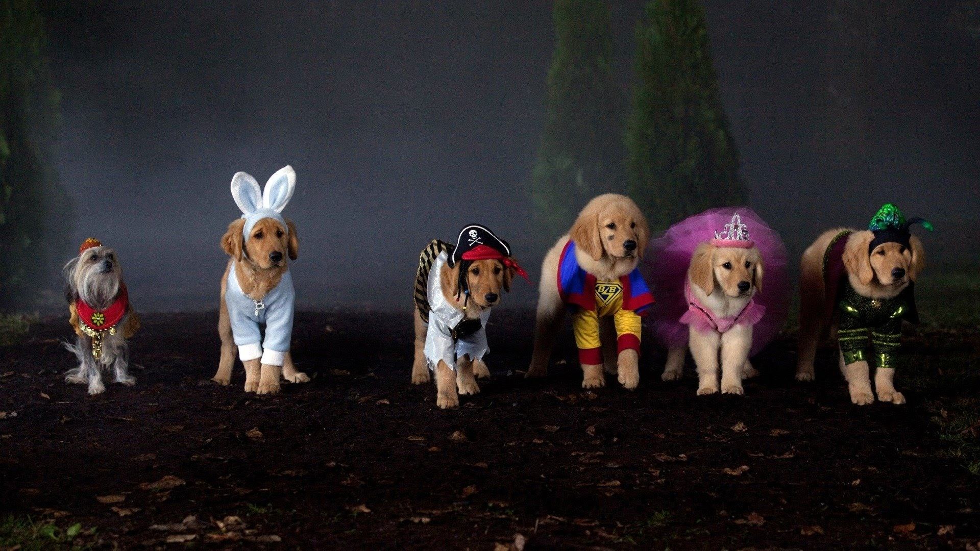 Backdrop for Spooky Buddies