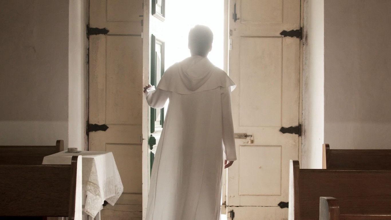 Backdrop for Apostasia