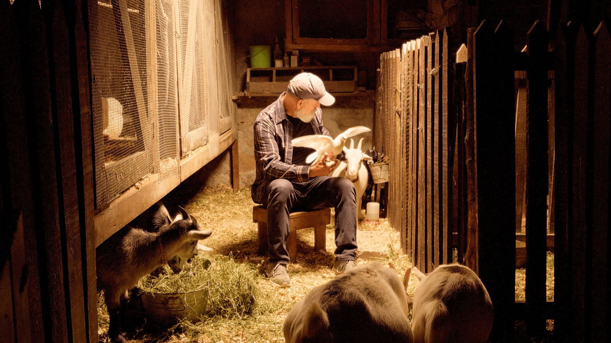 Backdrop for Home Again