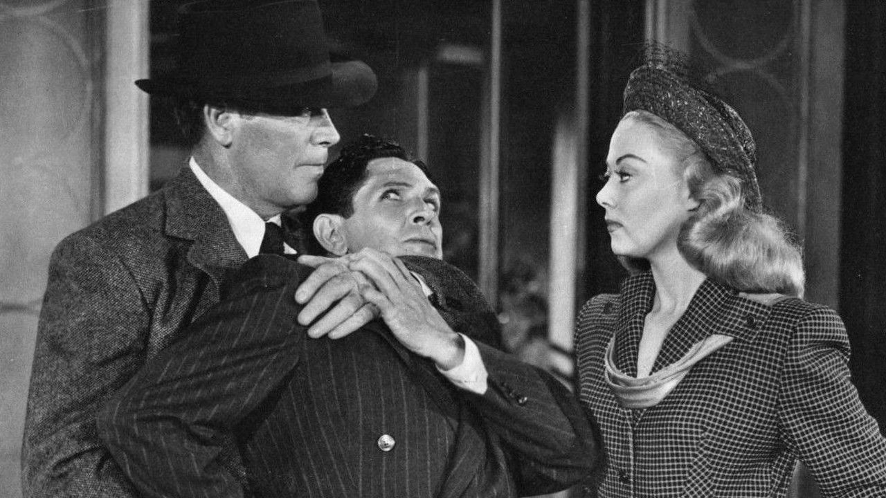 Backdrop for Exposed