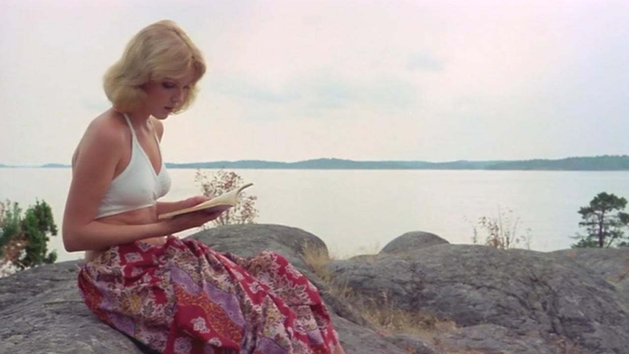 Backdrop for Laura's Toys