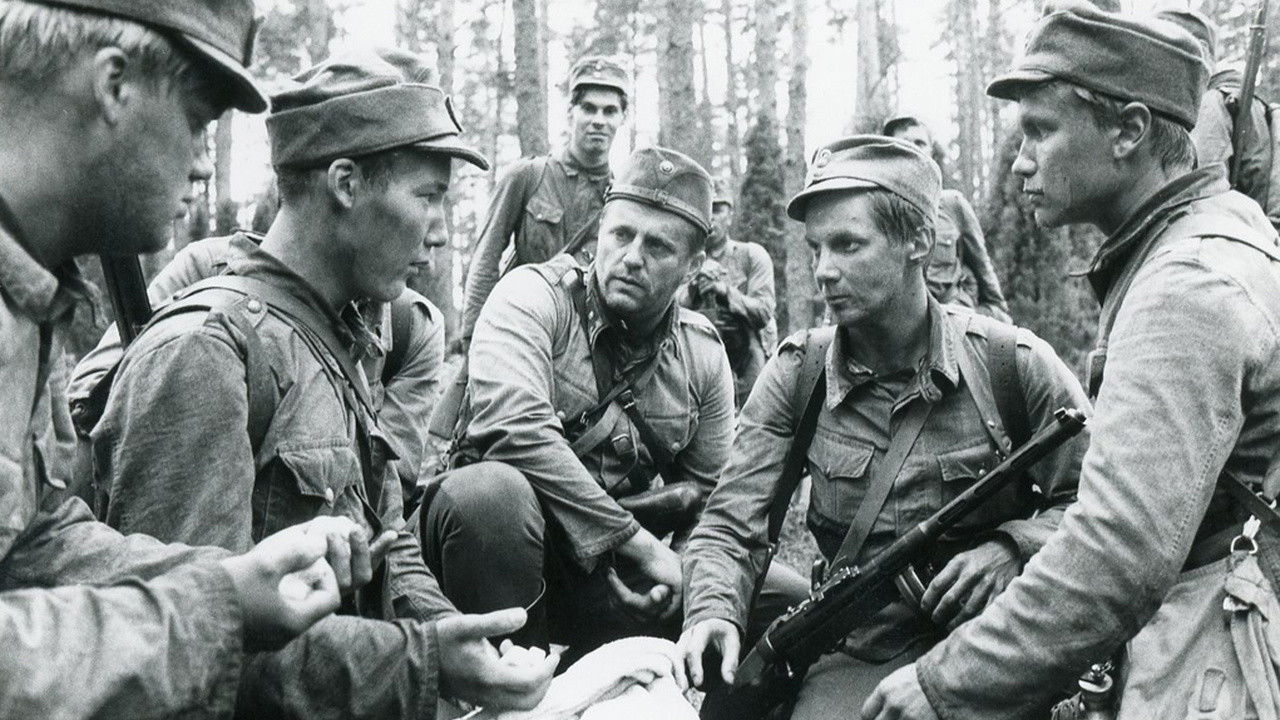 Backdrop for The Unknown Soldier