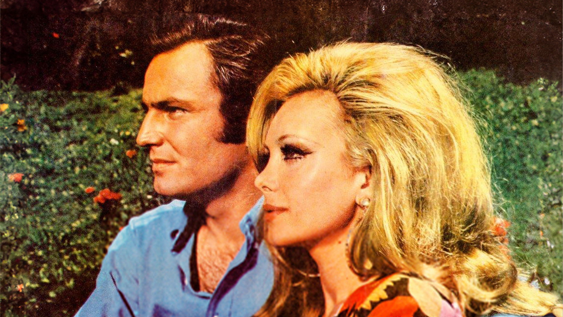 Backdrop for Yuvasız Kuşlar