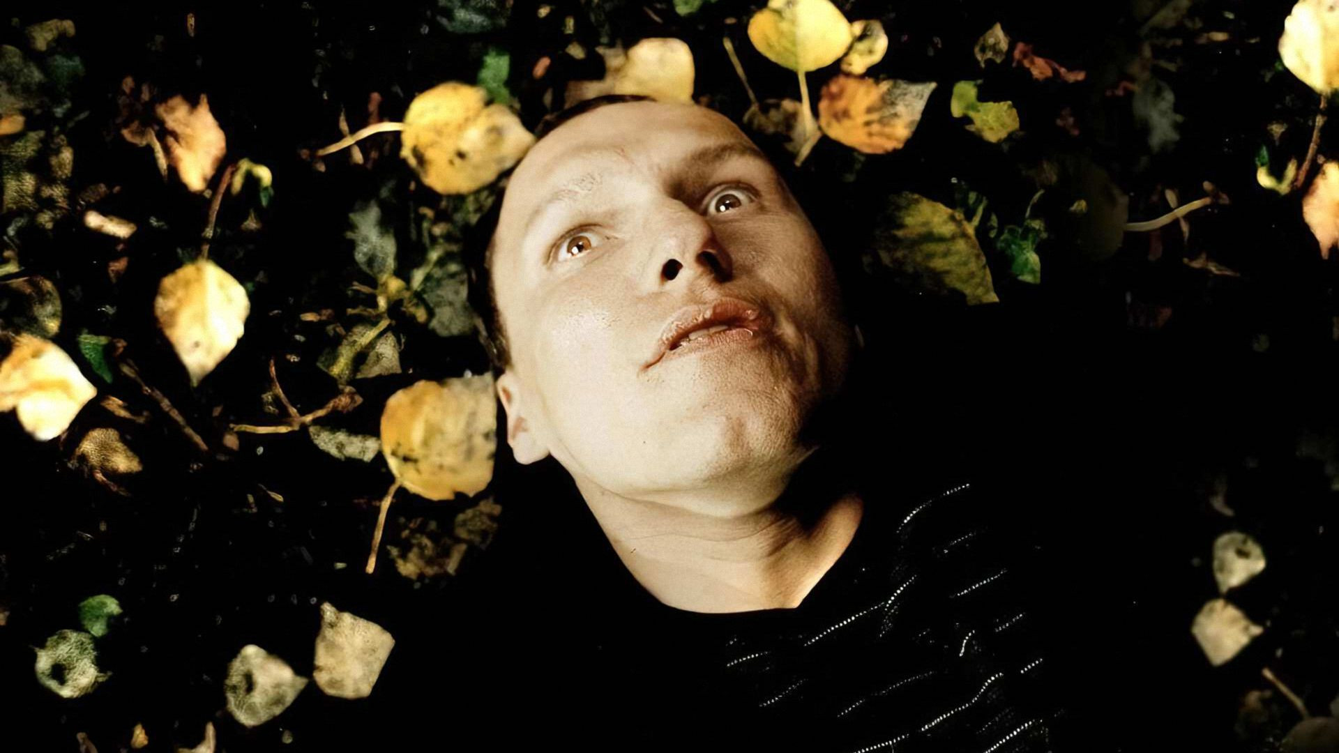 Backdrop for Queen of the Angels