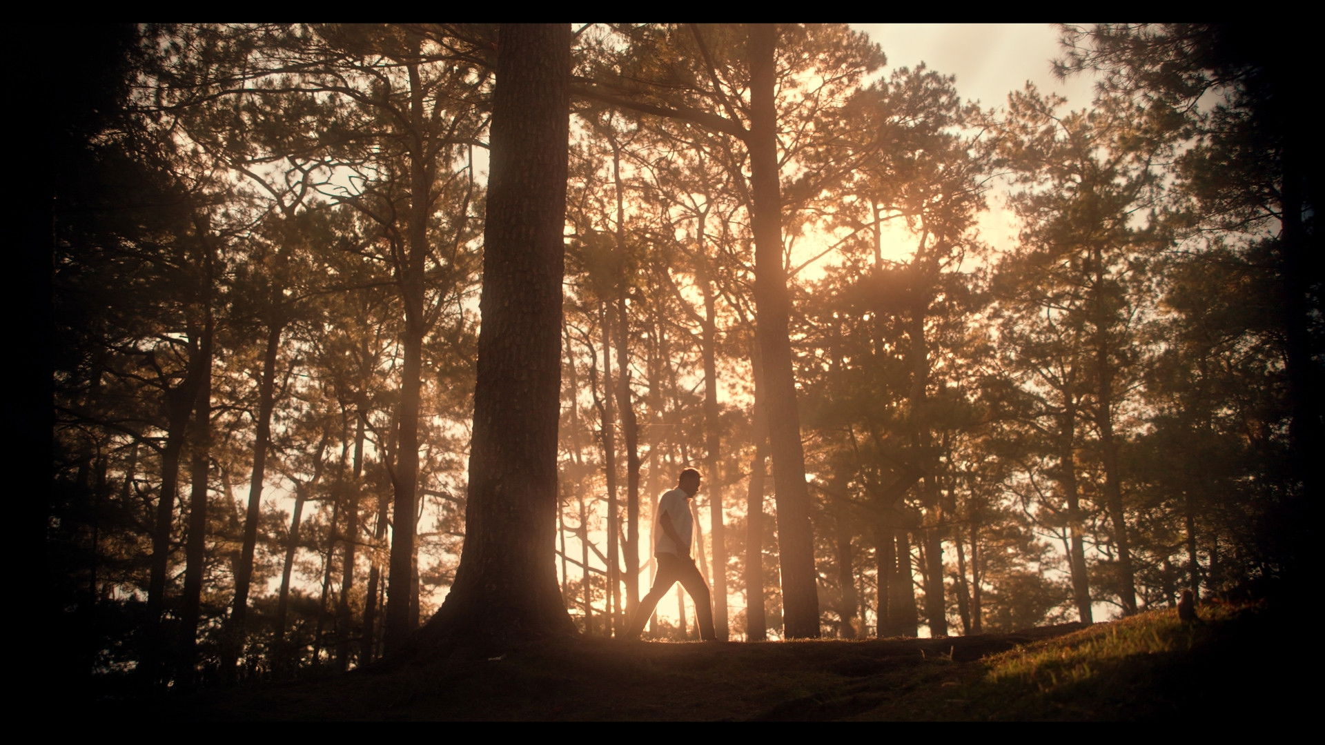 Backdrop for An Errand