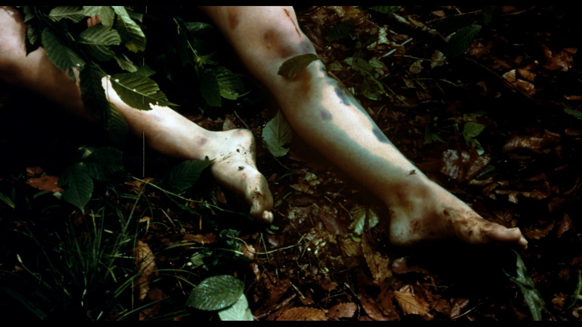 Backdrop for Recommendation for Mercy