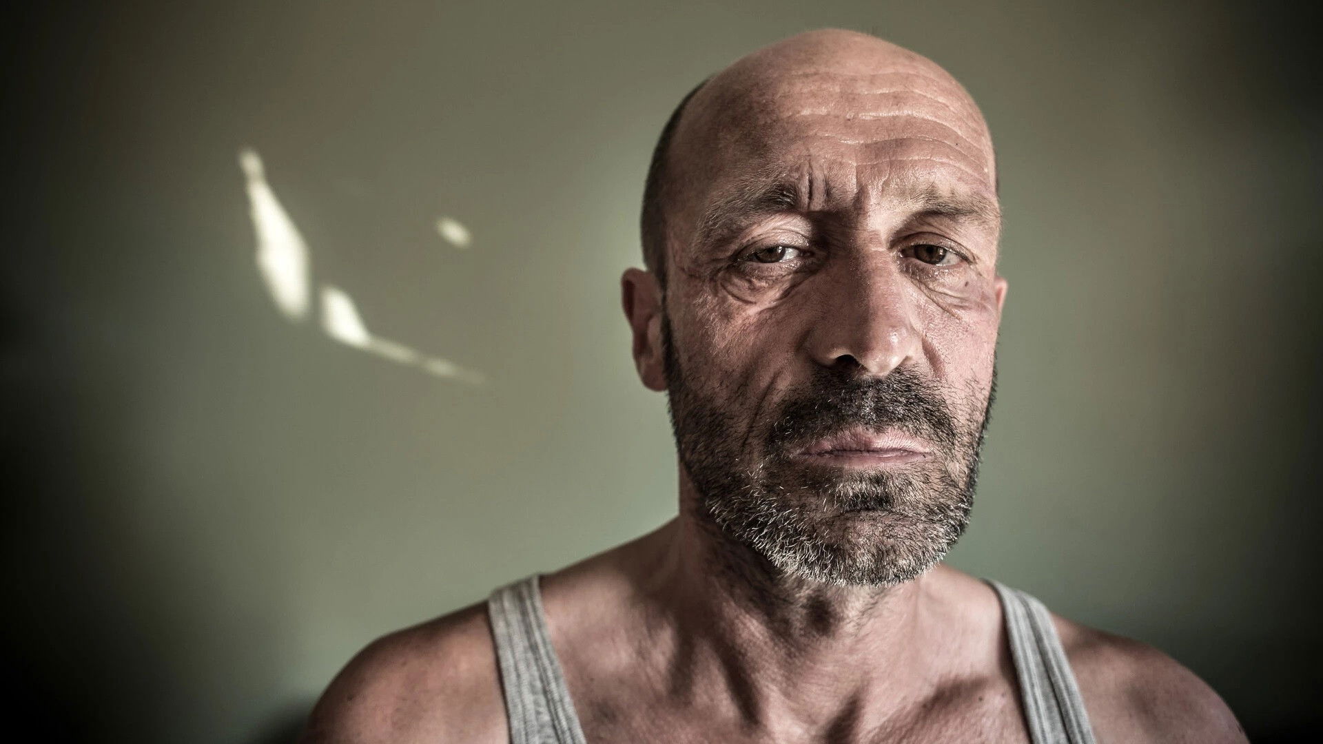 Backdrop for Le Casse