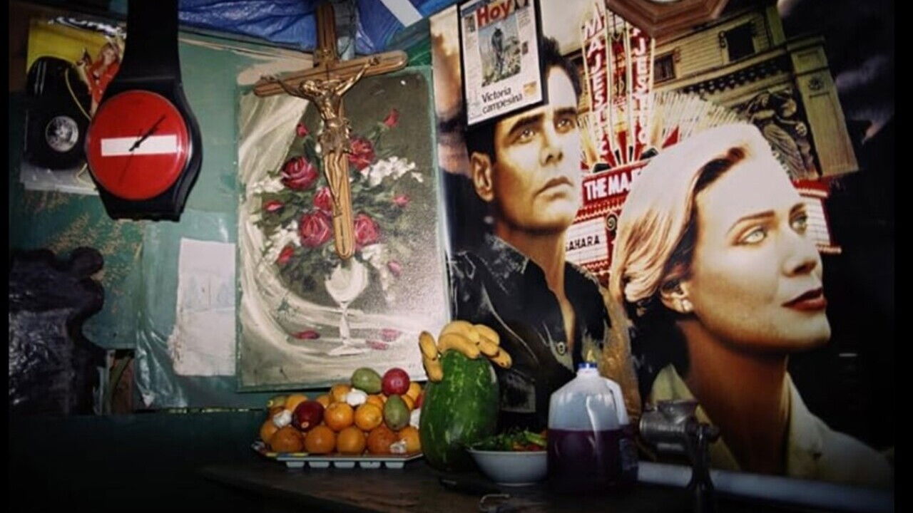 Backdrop for The Garden