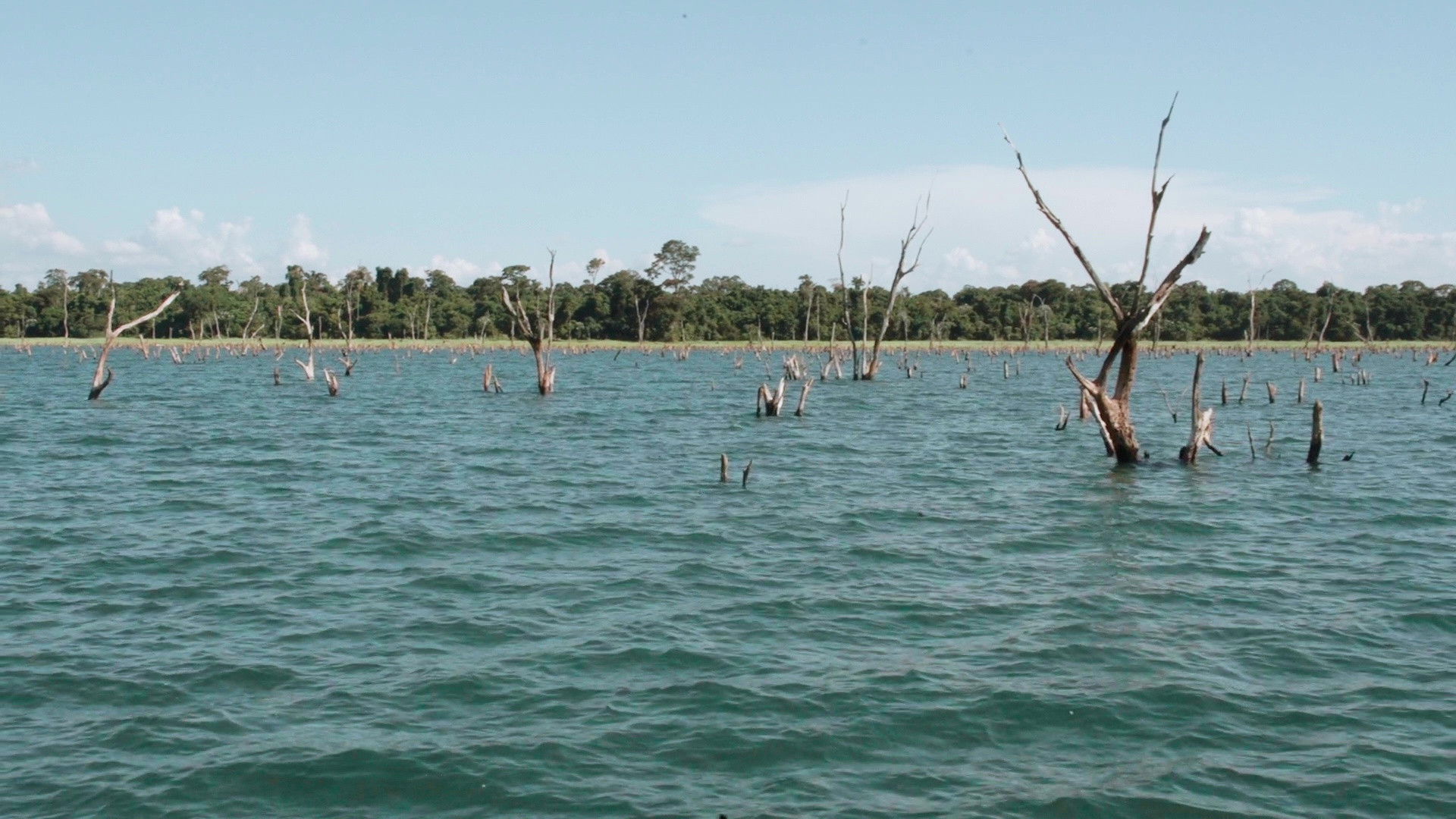 Backdrop for I Remember My Mom