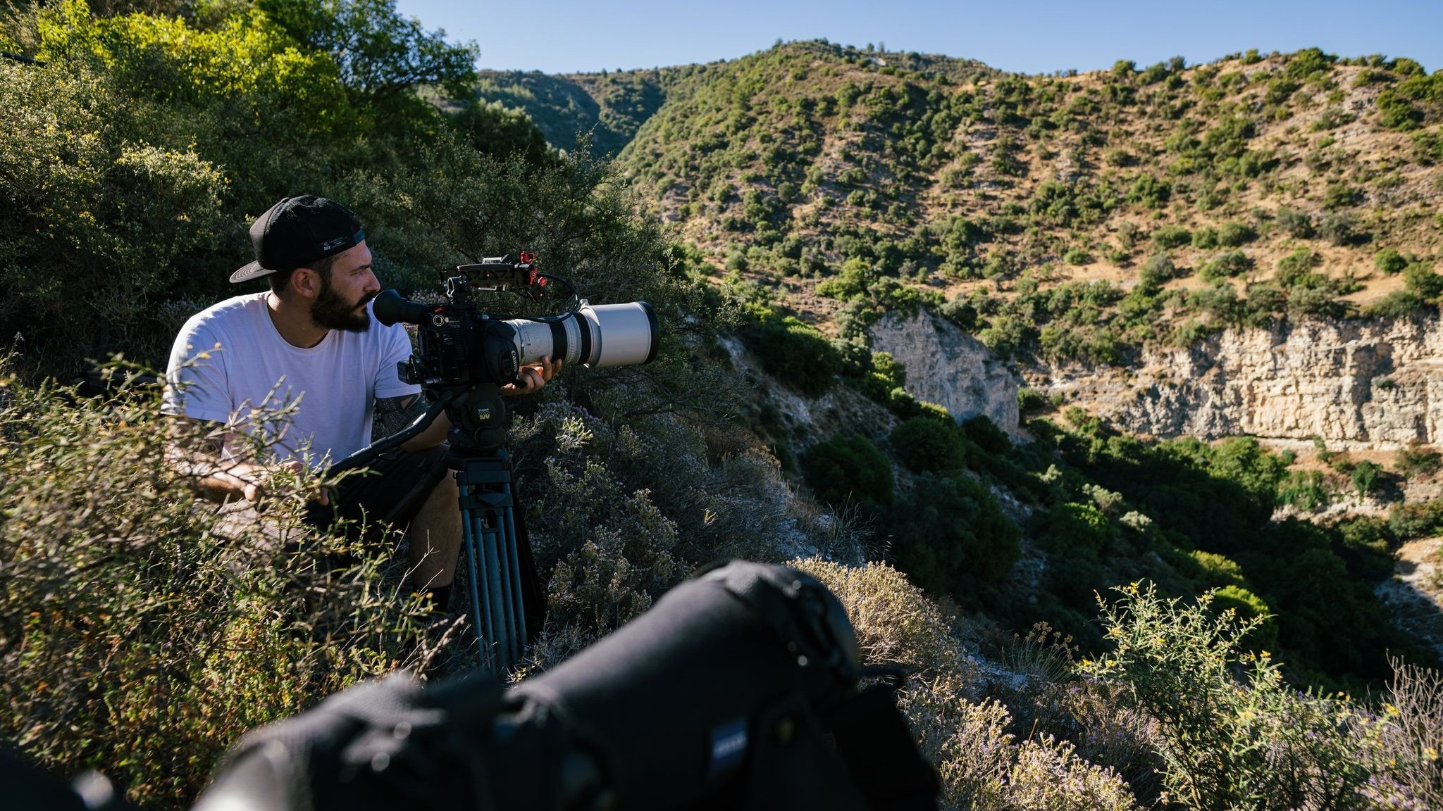 Backdrop for Life with Vultures