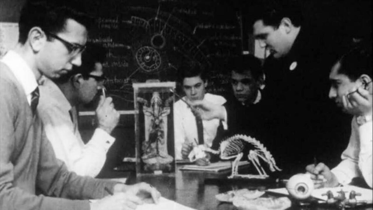 Backdrop for Comprehensive School