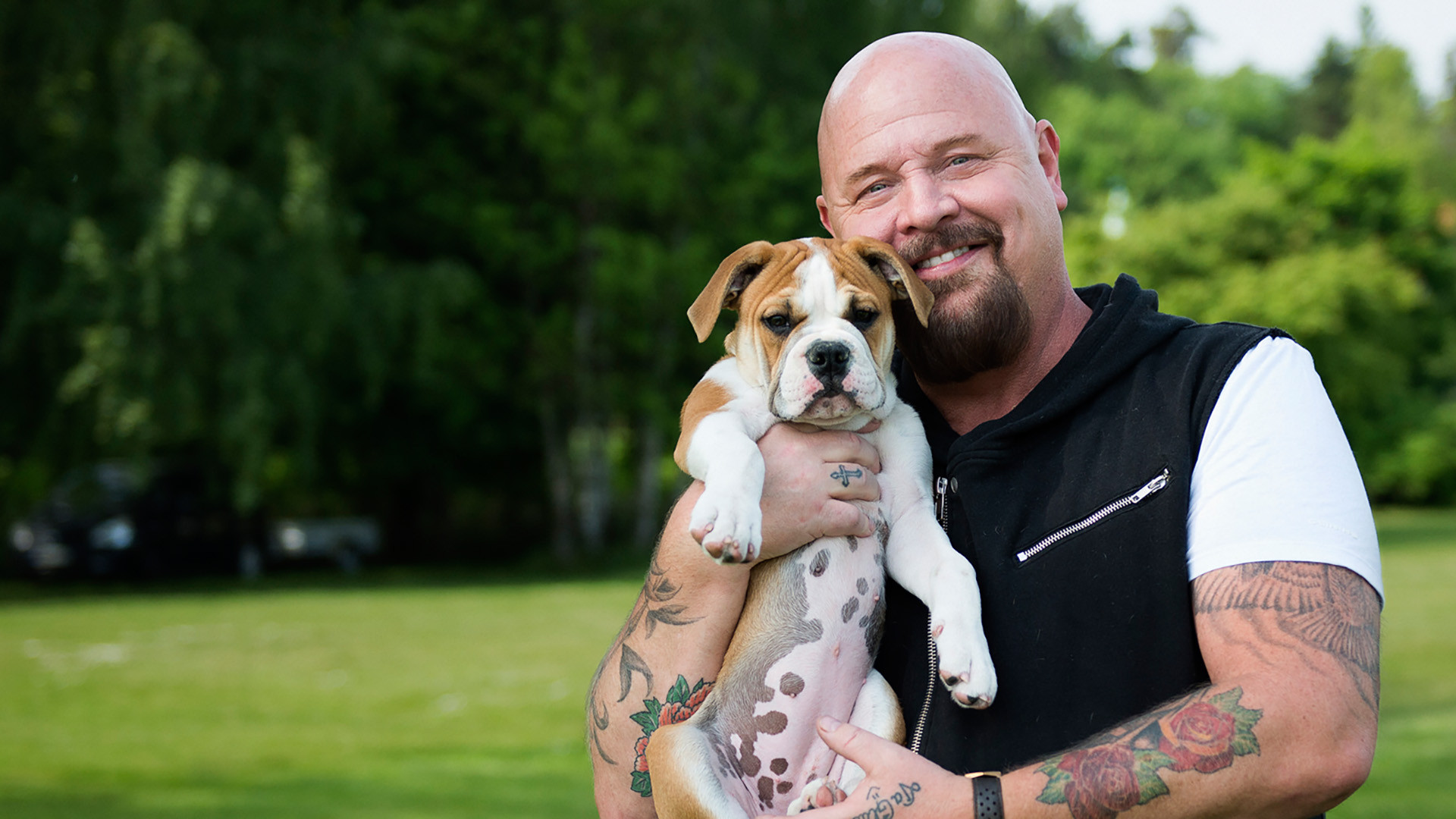 Backdrop for Mitt liv som valp