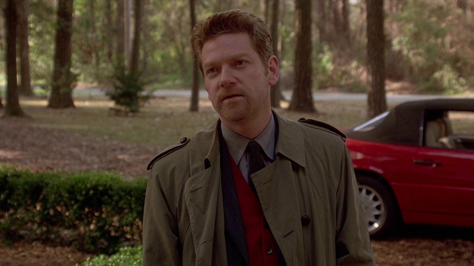 Backdrop for The Gingerbread Man