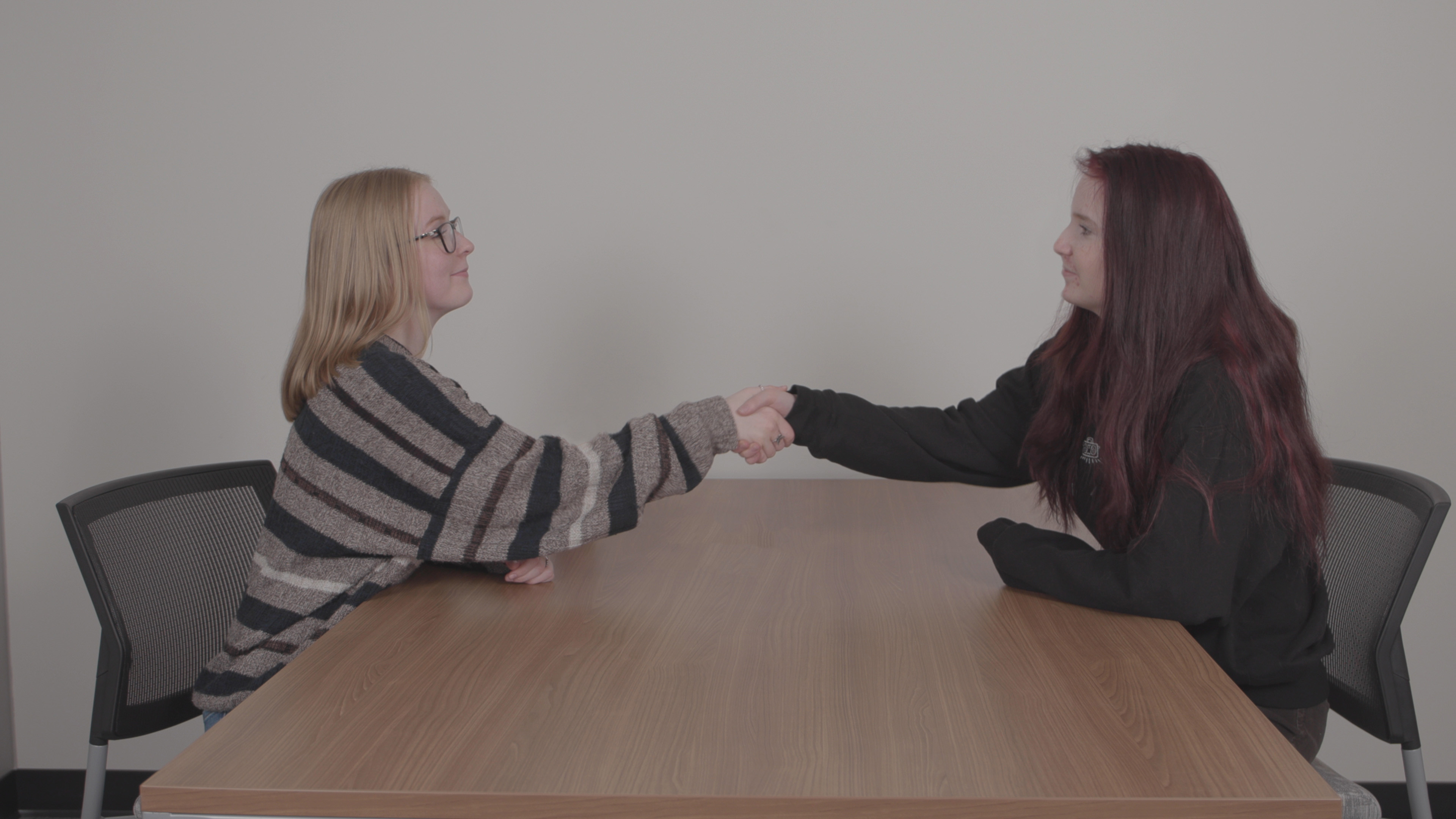 Backdrop for The Interview