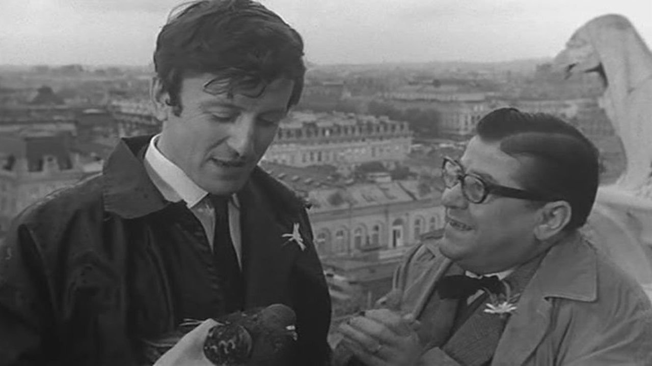 Backdrop for Order of the Daisy