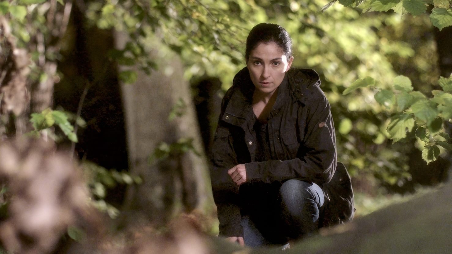 Backdrop for Johan Falk: Alla råns moder