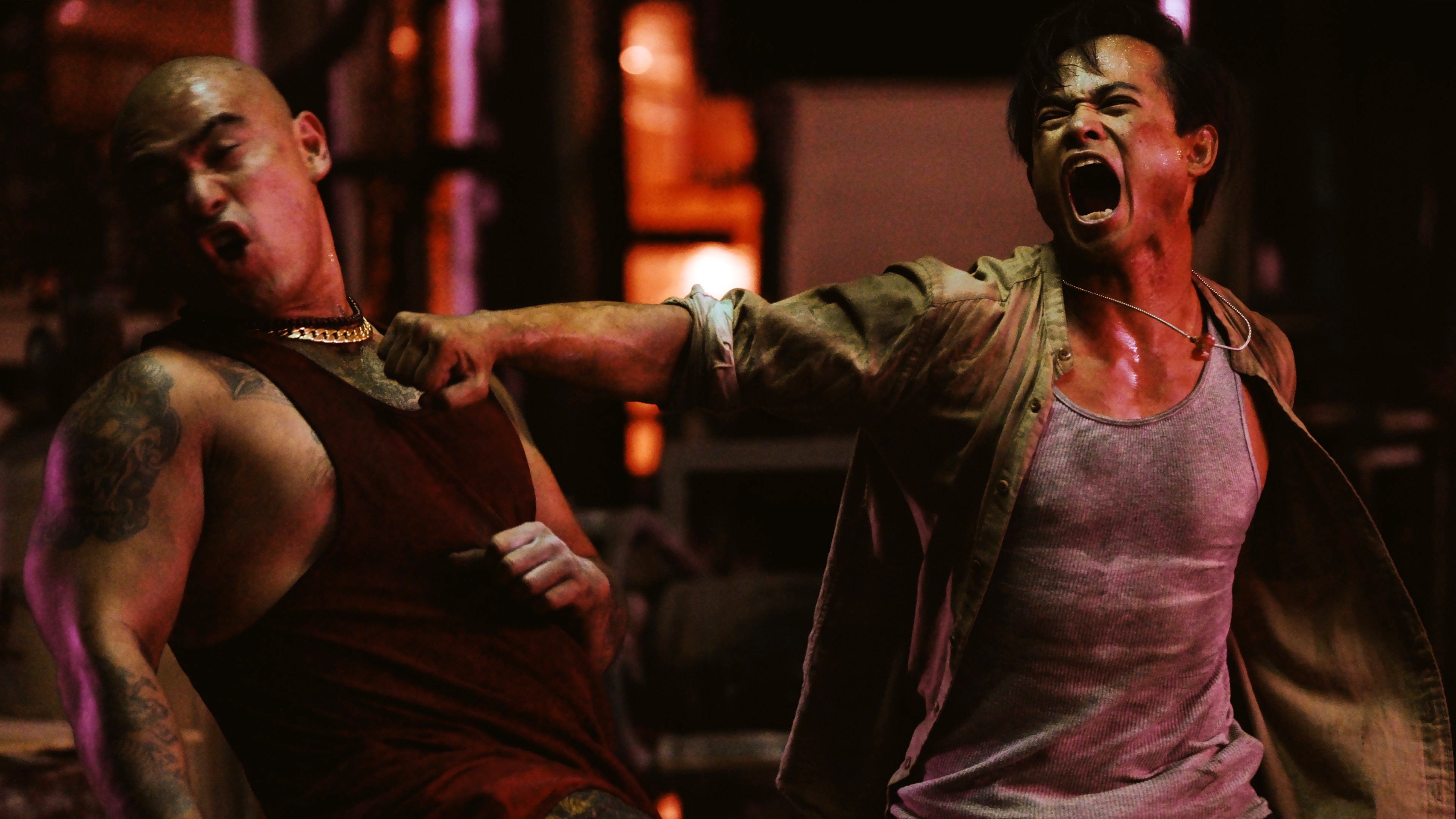 Backdrop for Bangkok Dog