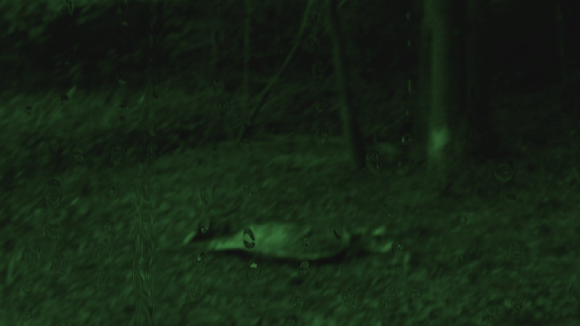 Backdrop for Horror Movie