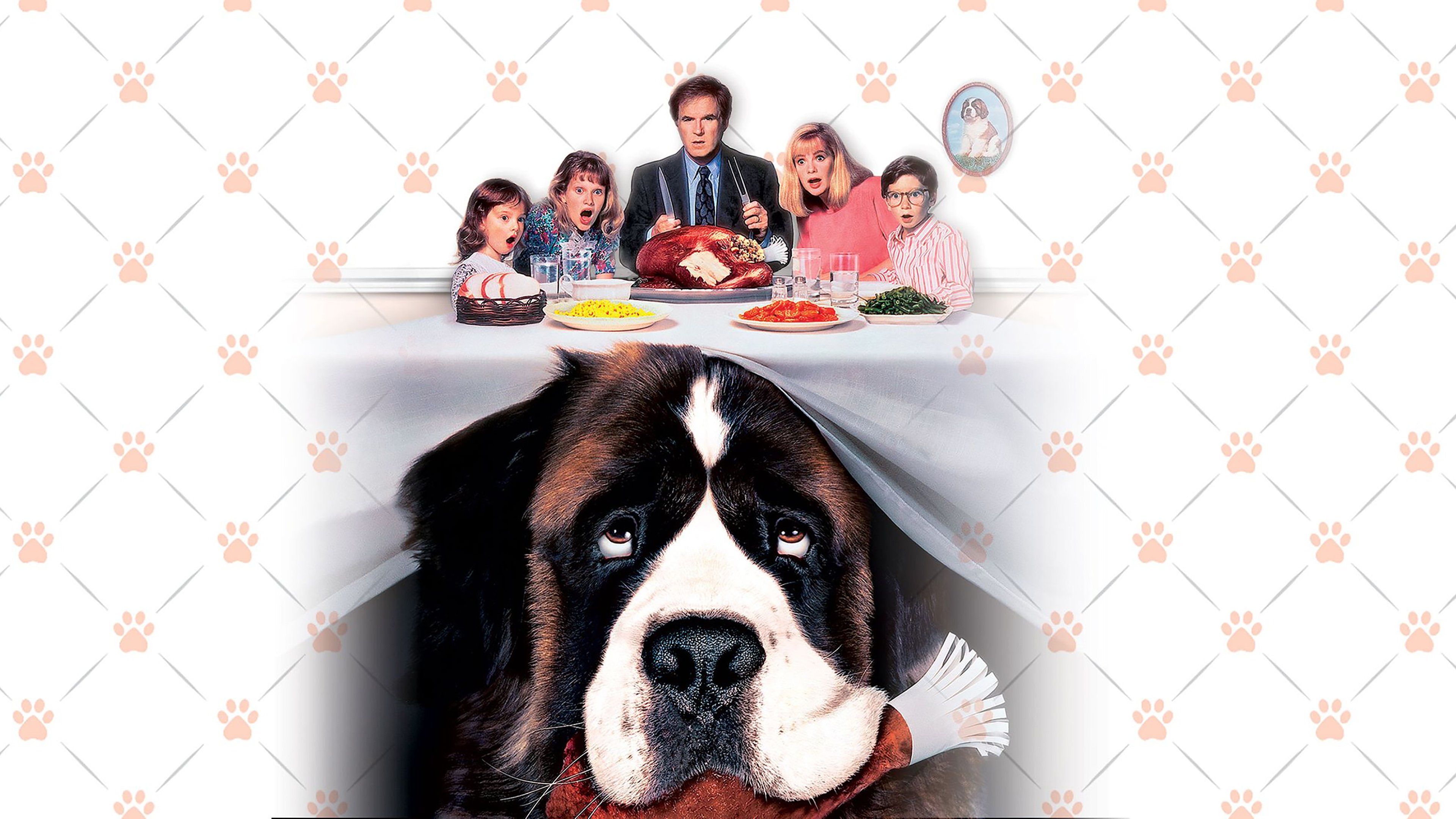 Backdrop for Beethoven