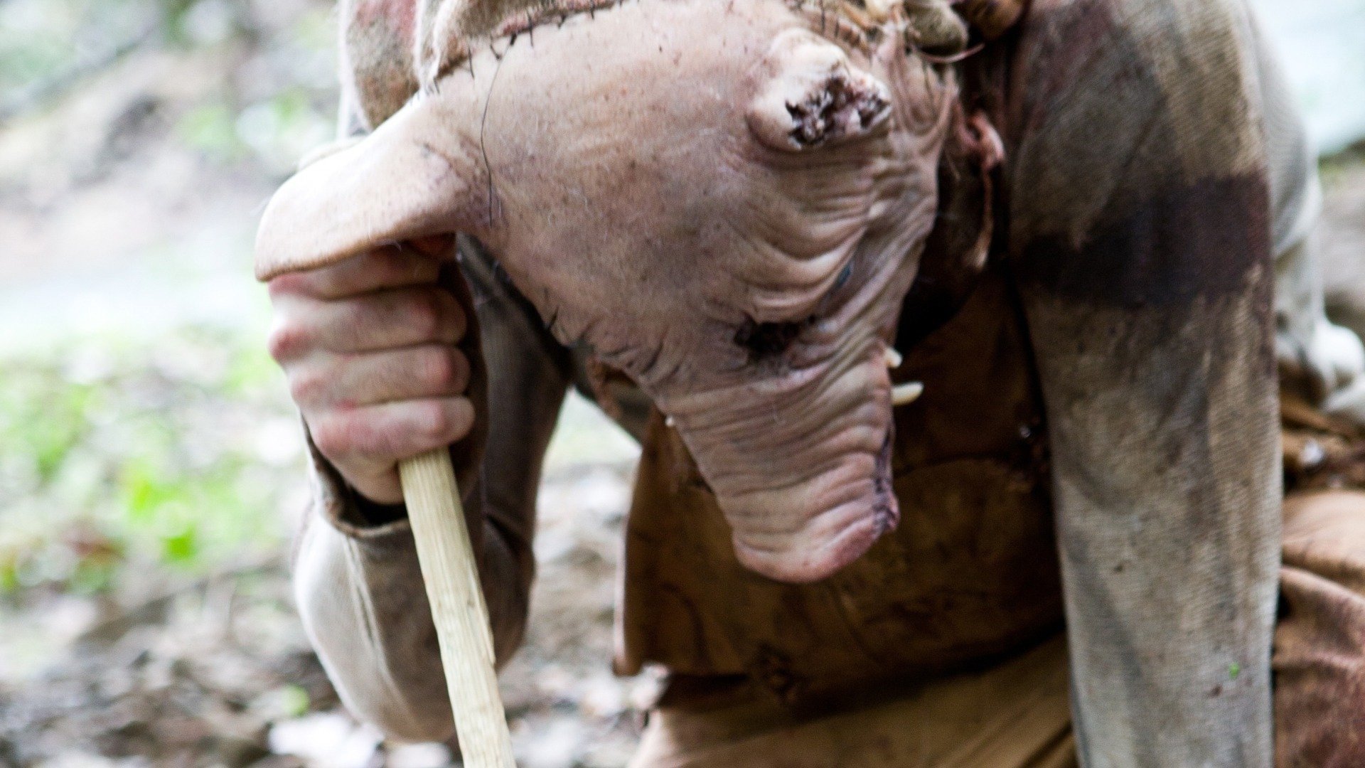 Backdrop for Madison County