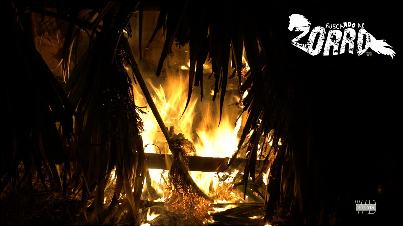 Backdrop for Searching for Zorro