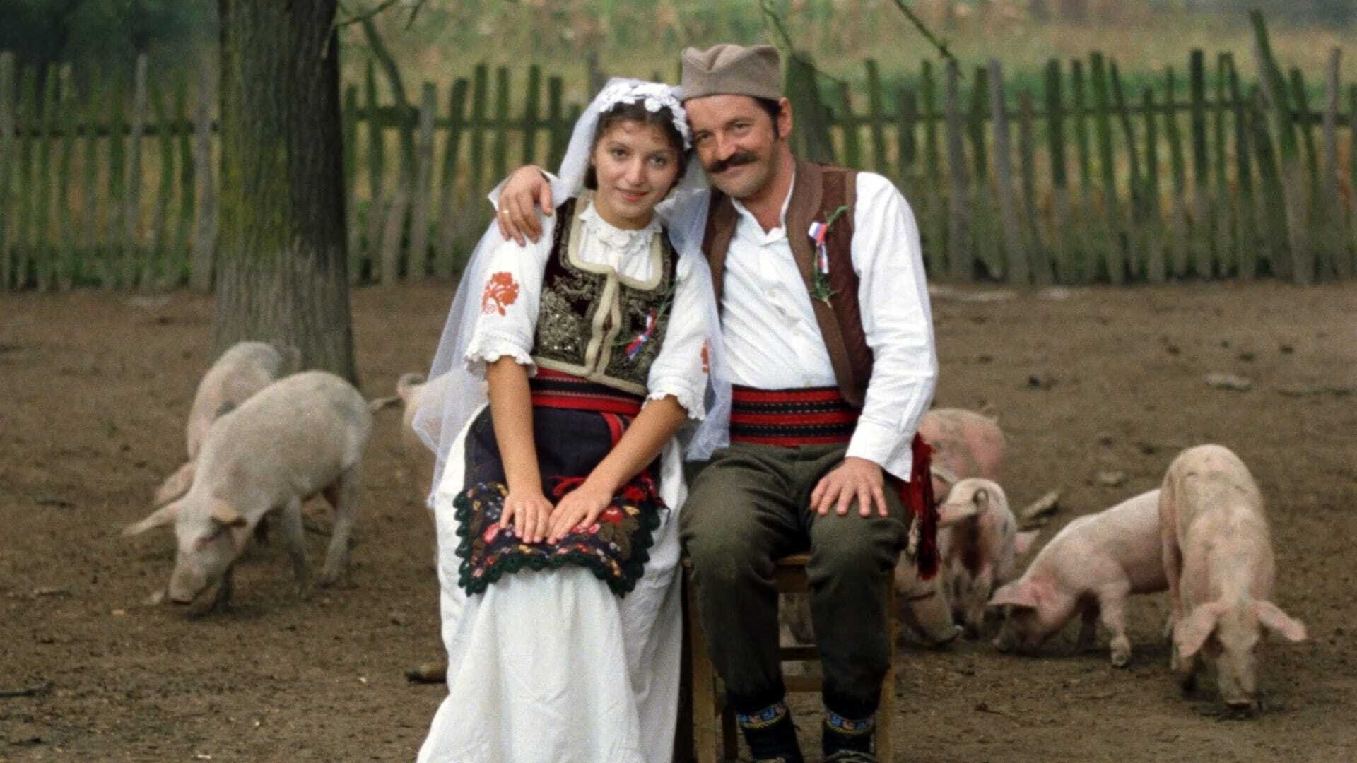 Backdrop for Petria's Wreath