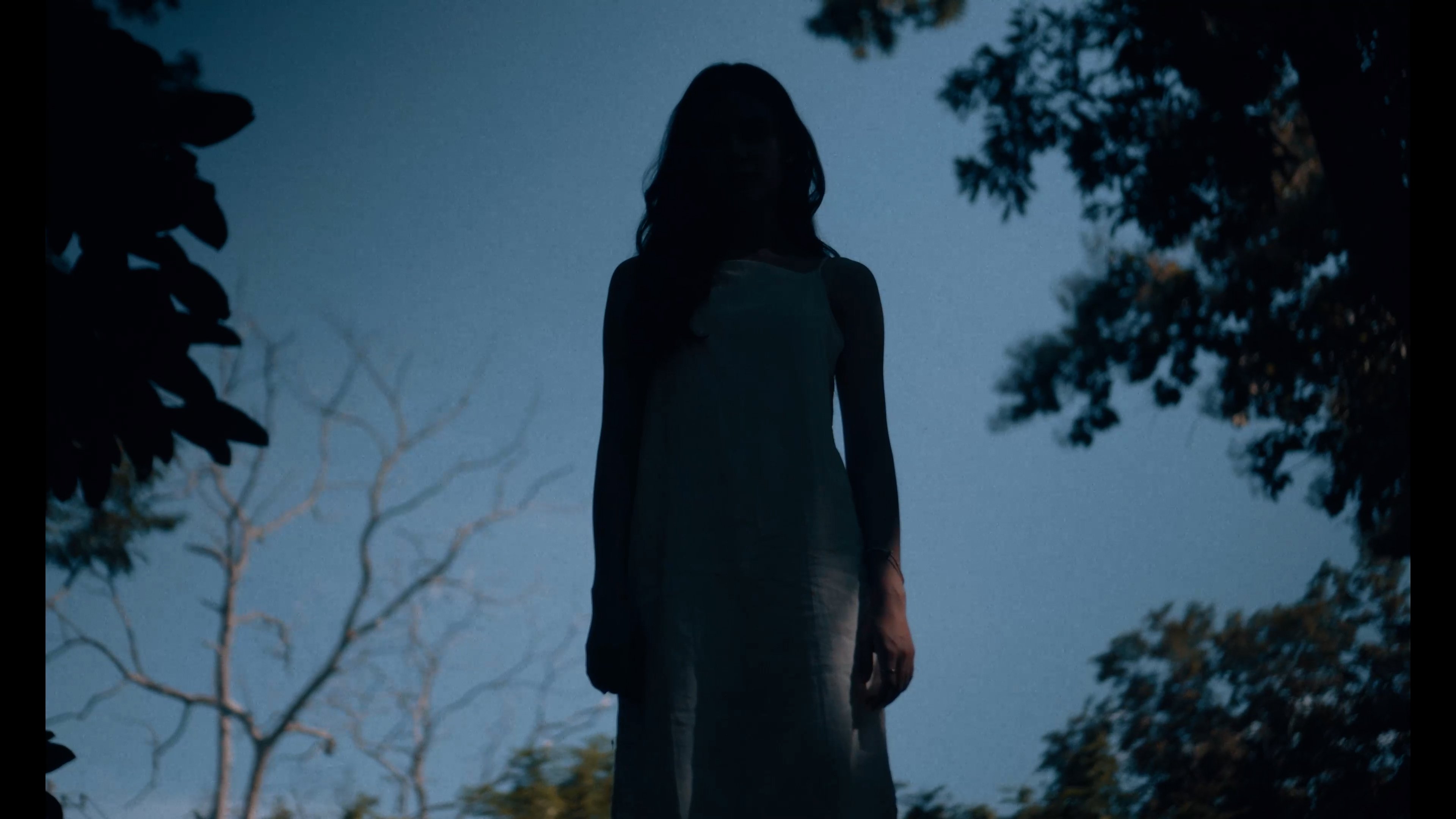 Backdrop for Lost and Found