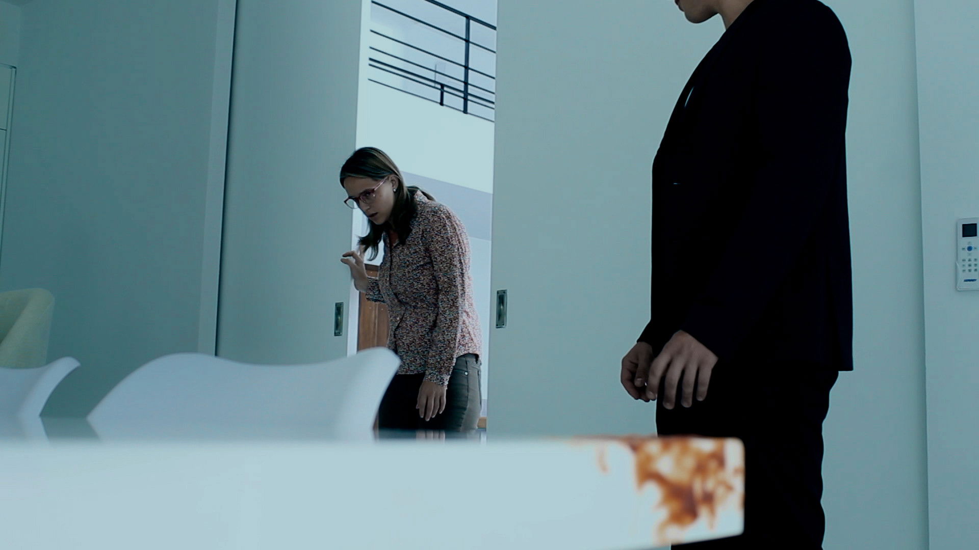 Backdrop for The Visitor