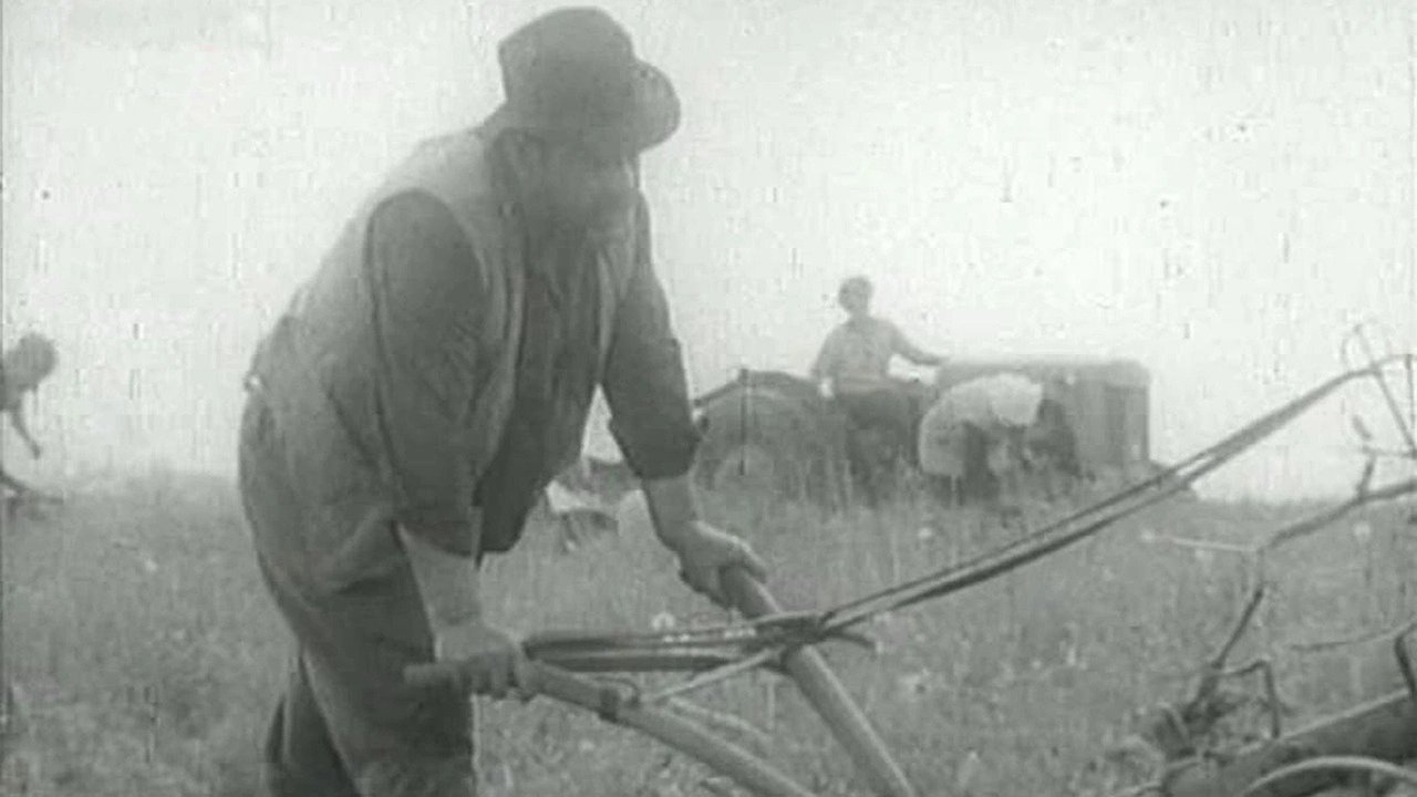 Backdrop for Boundary