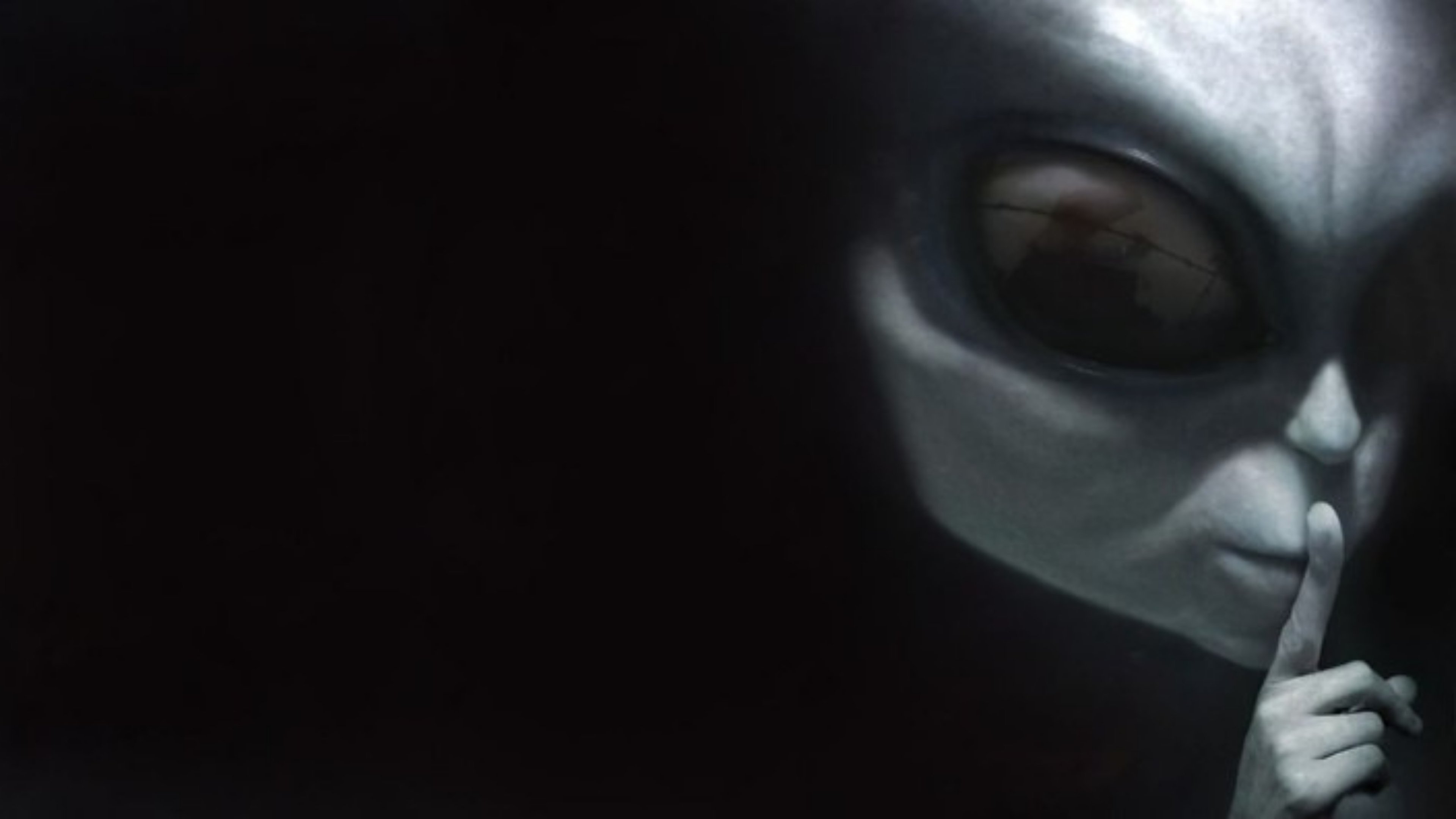 Backdrop for Montauk Chronicles