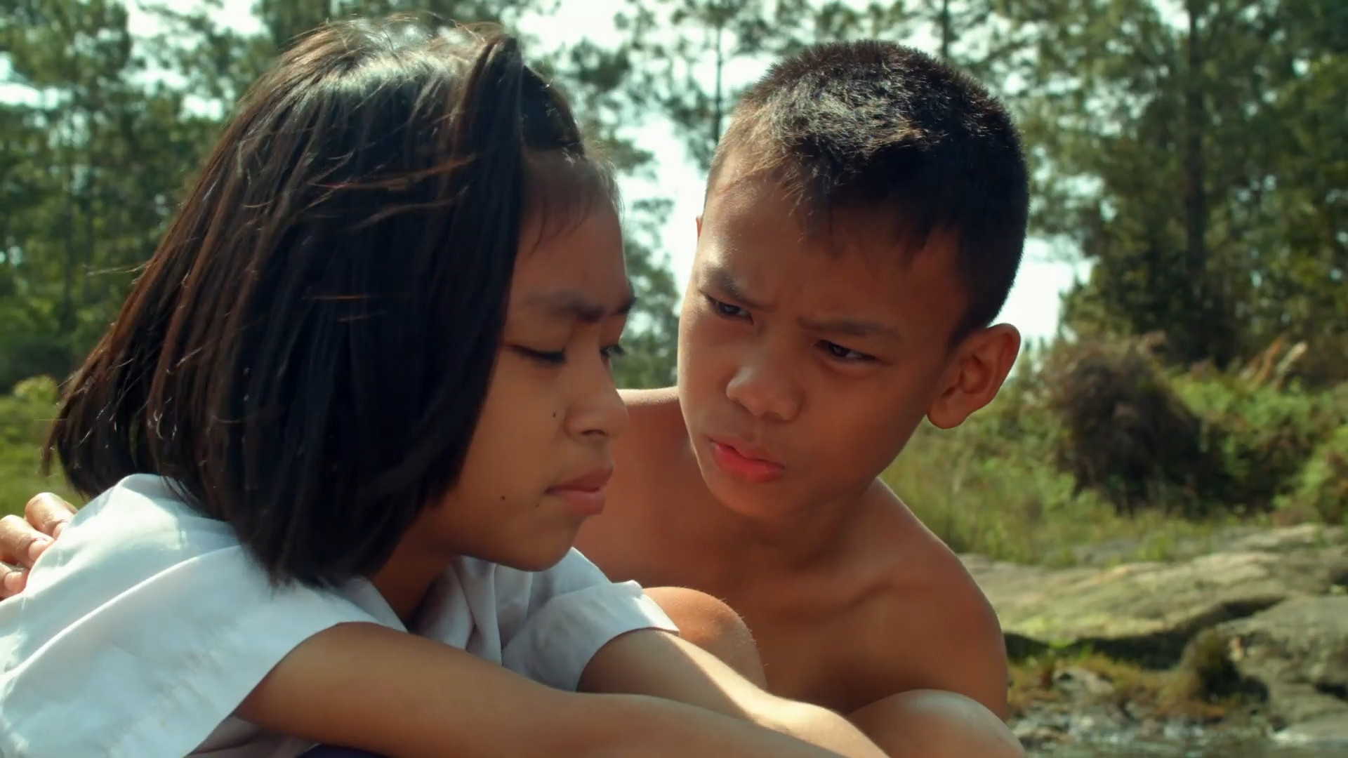 Backdrop for The Forest