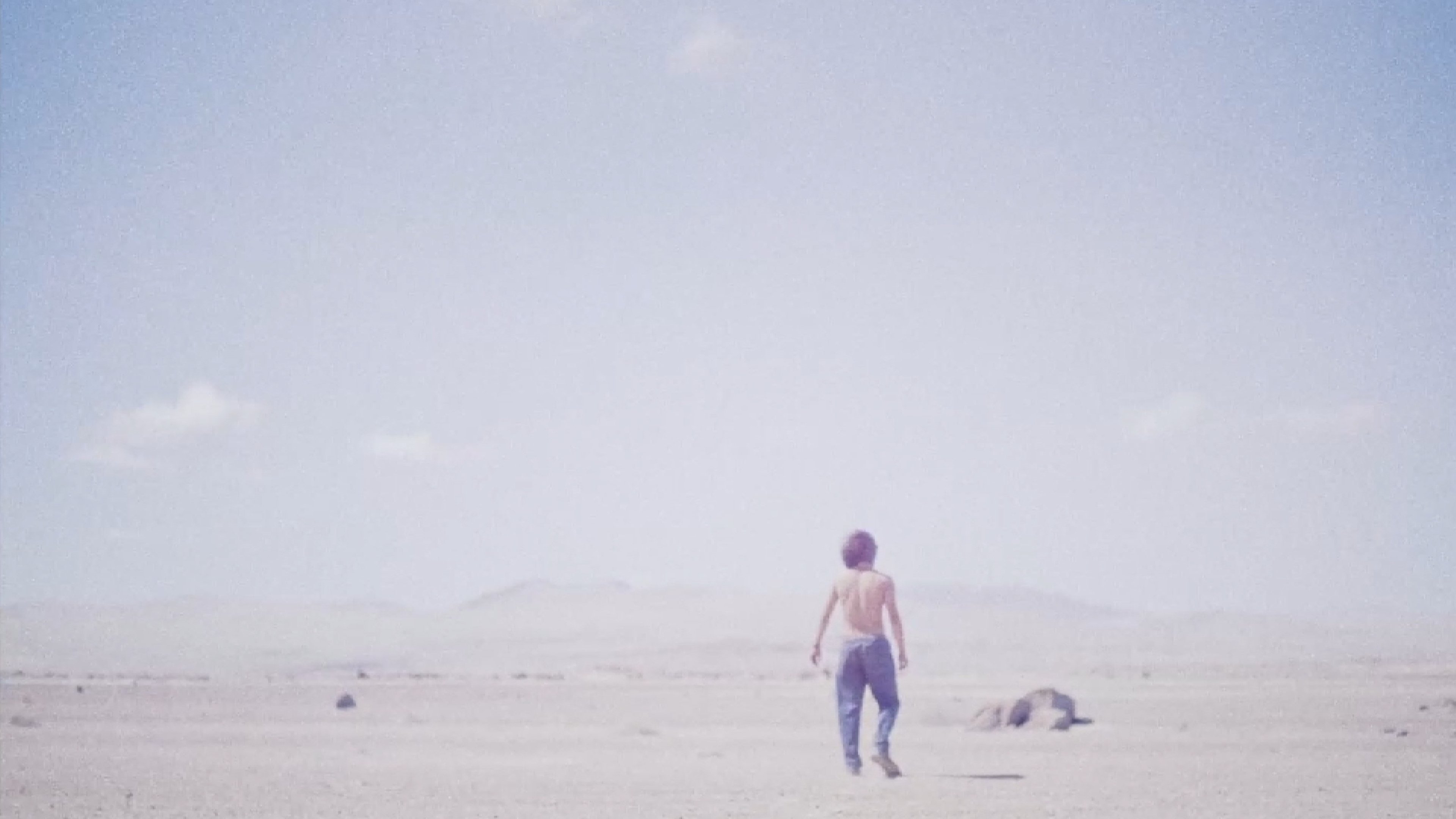 Backdrop for Desierto