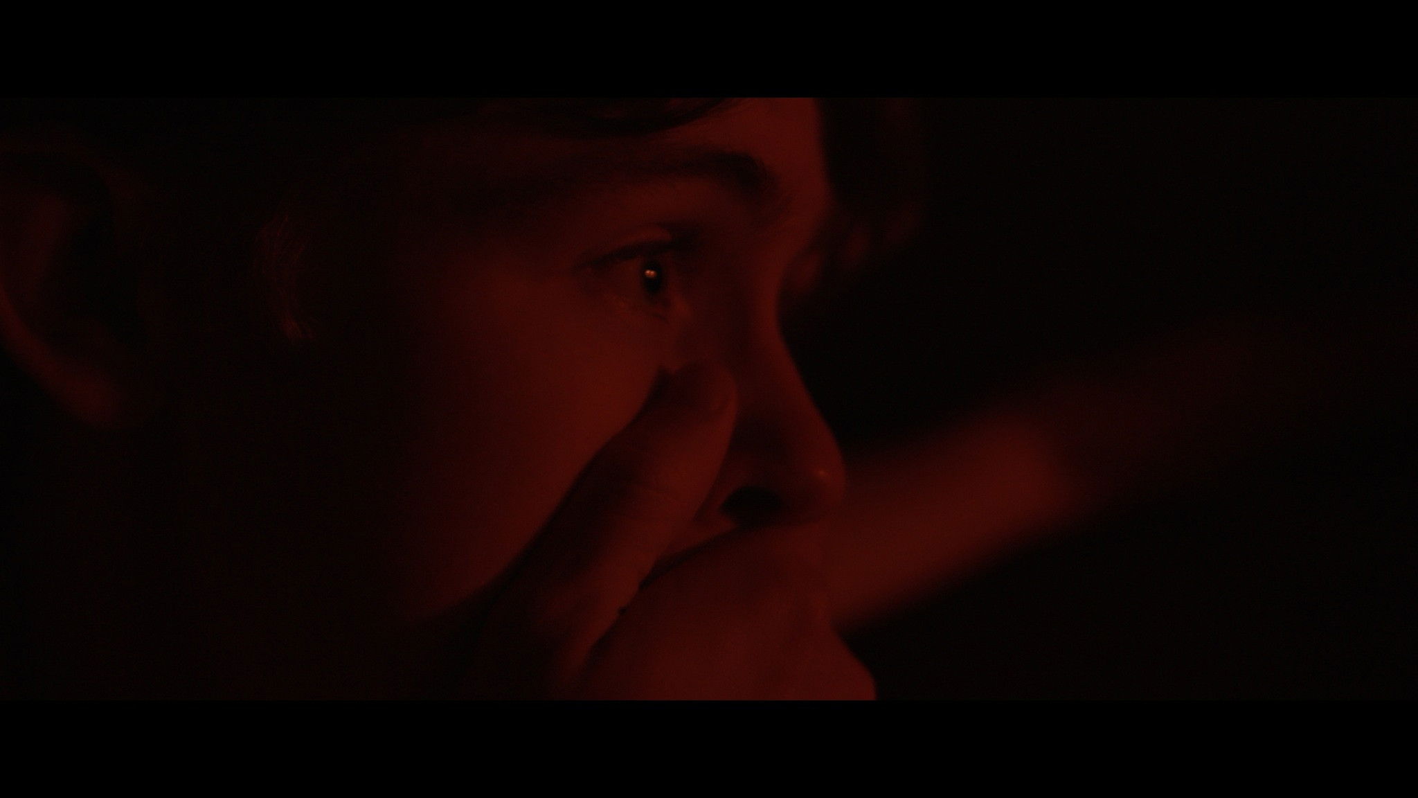 Backdrop for Necropolis