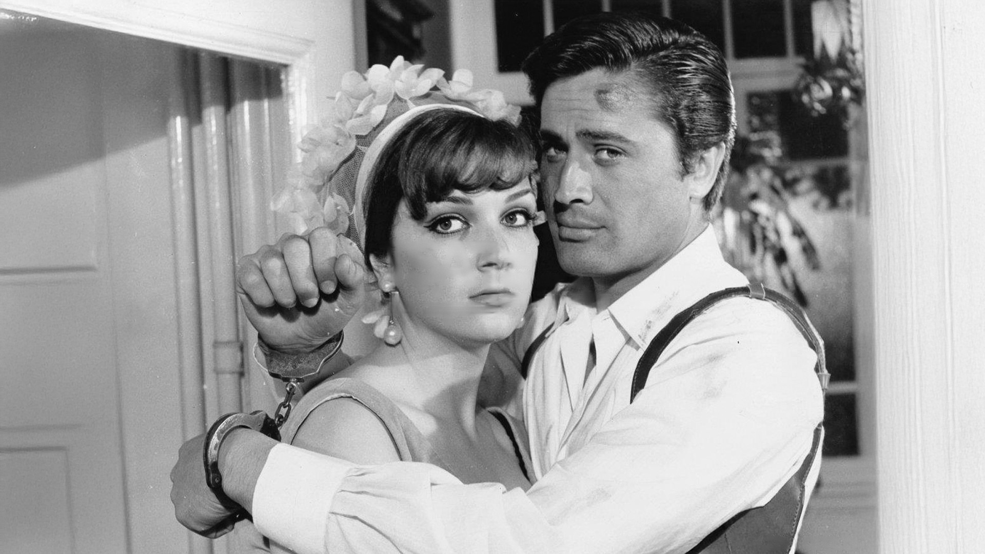 Backdrop for Ruby-Eyed Cat