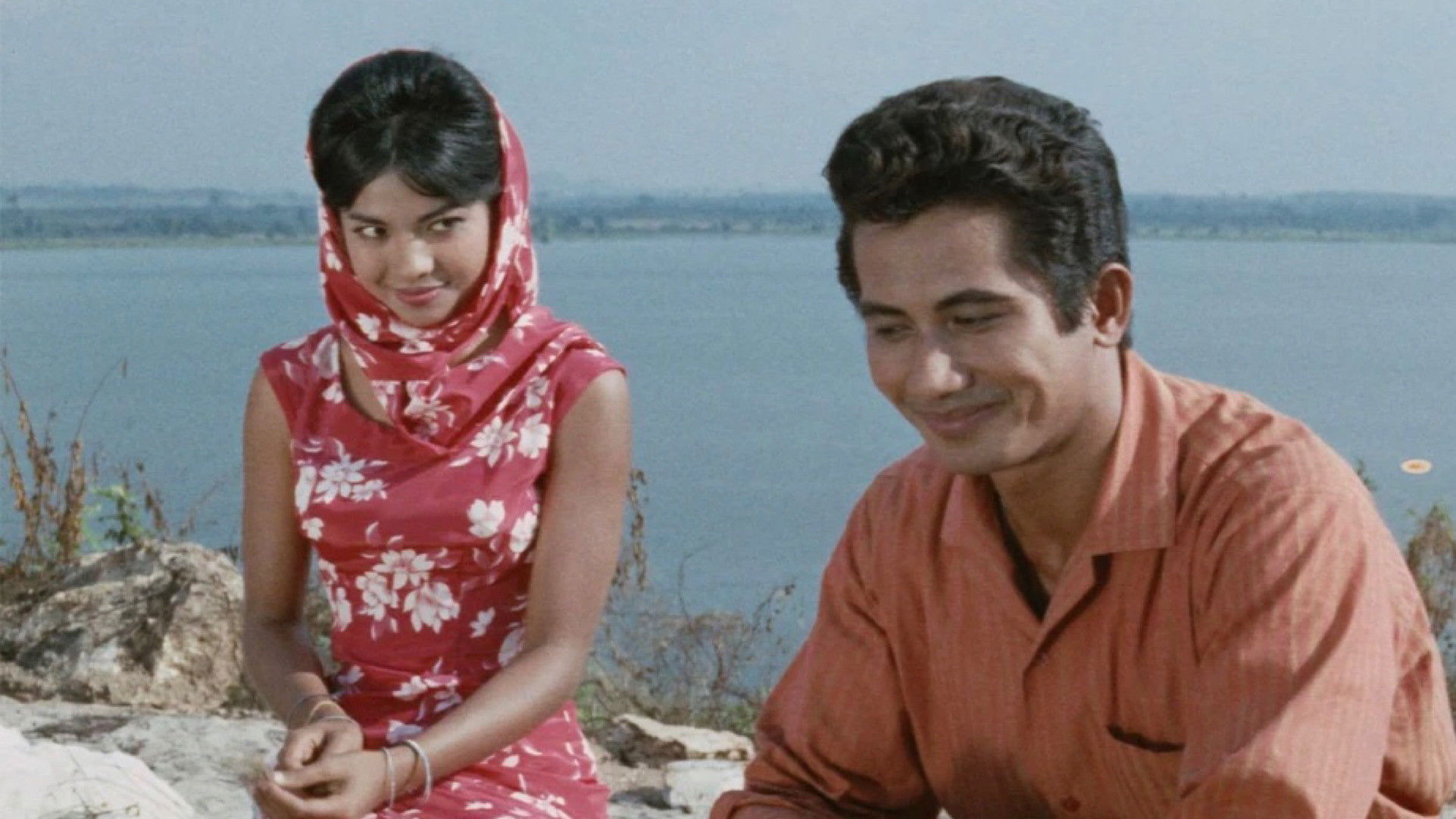 Backdrop for Sugar Is Not Sweet