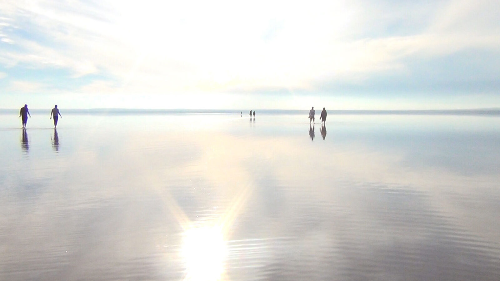 Backdrop for The Walkers
