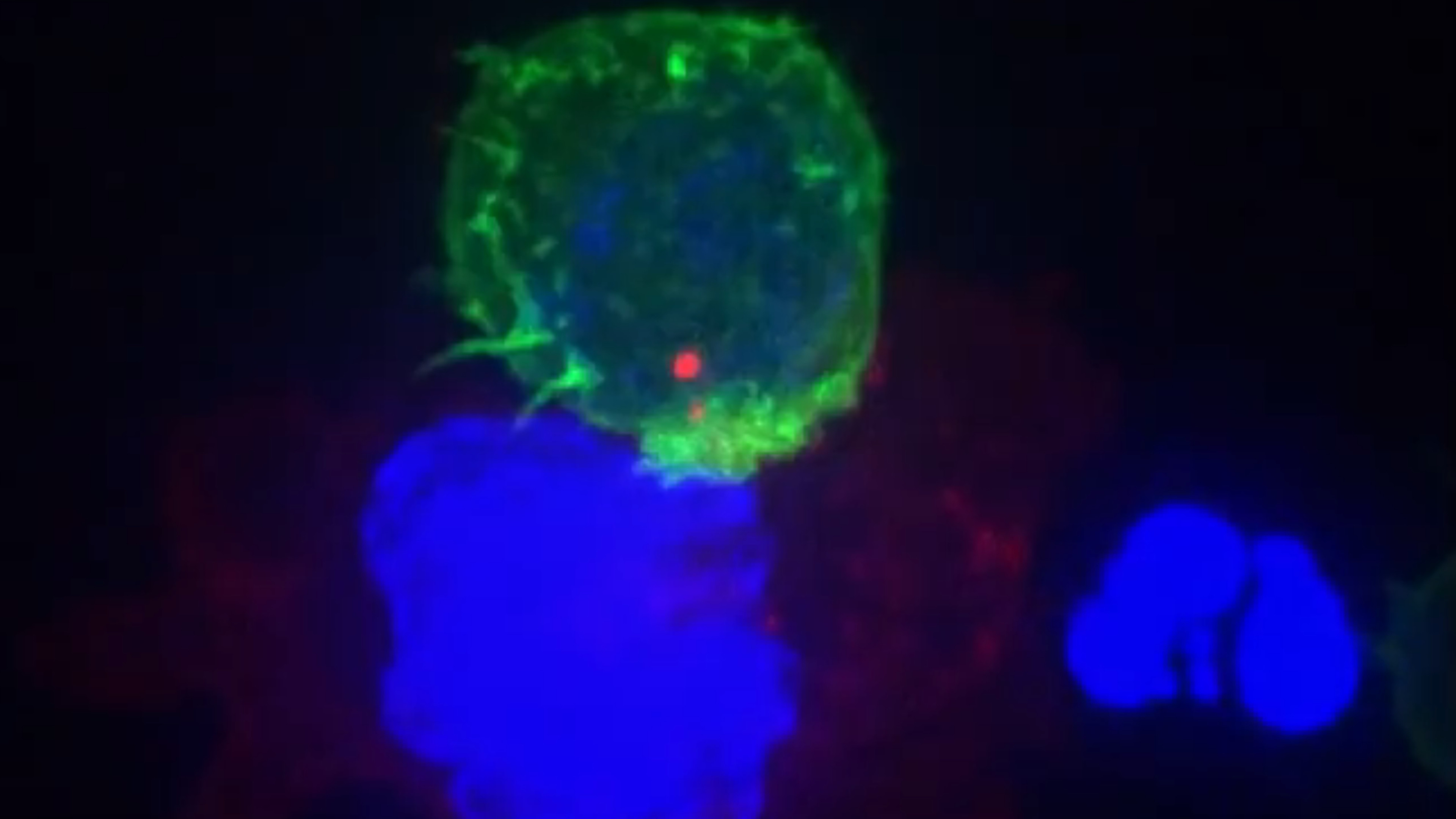 Backdrop for Failed Experiments