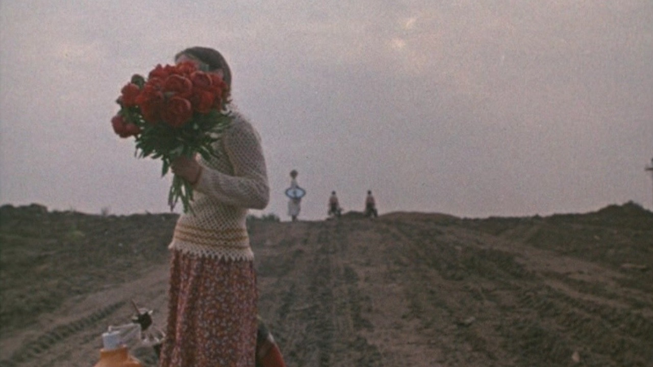 Backdrop for Getting to Know the Big Wide World