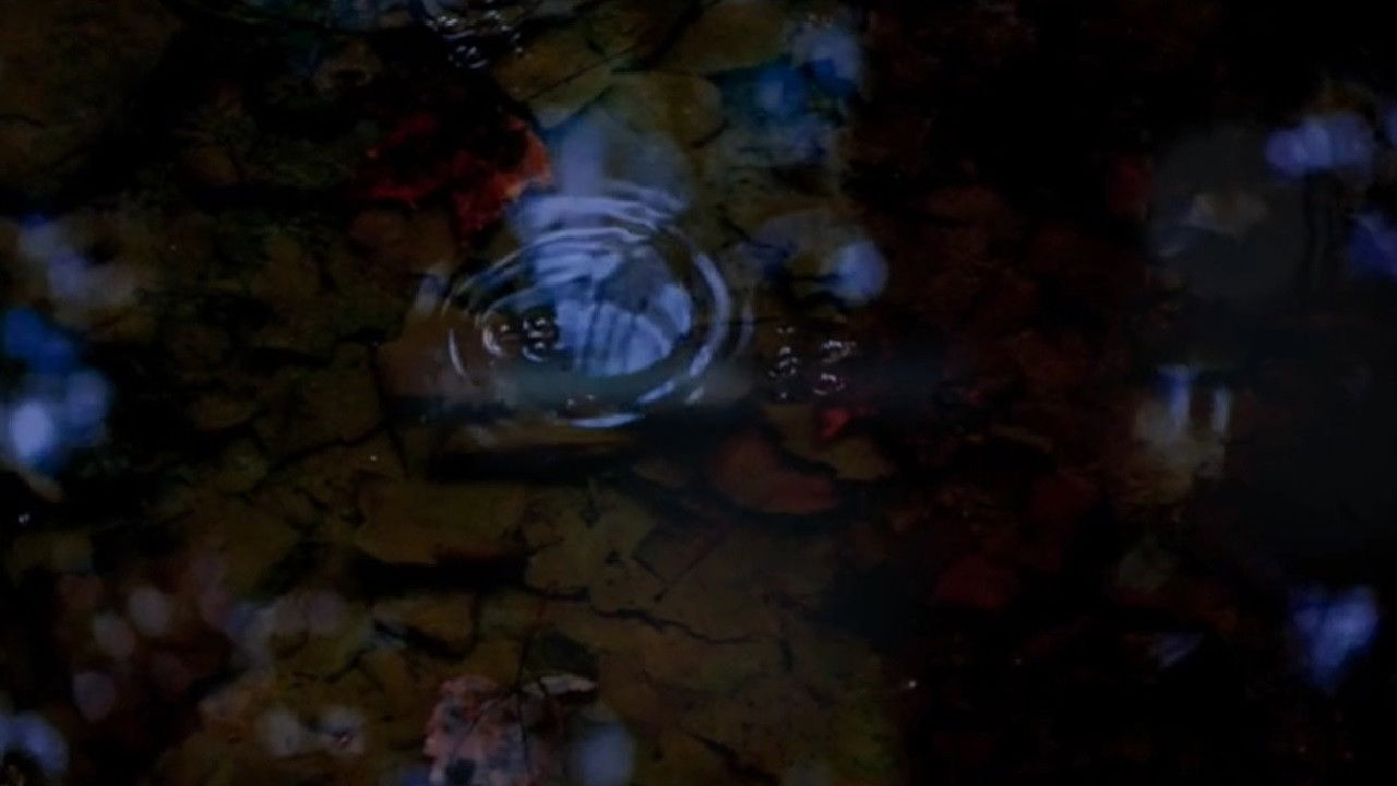 Backdrop for Amygdala Warrior