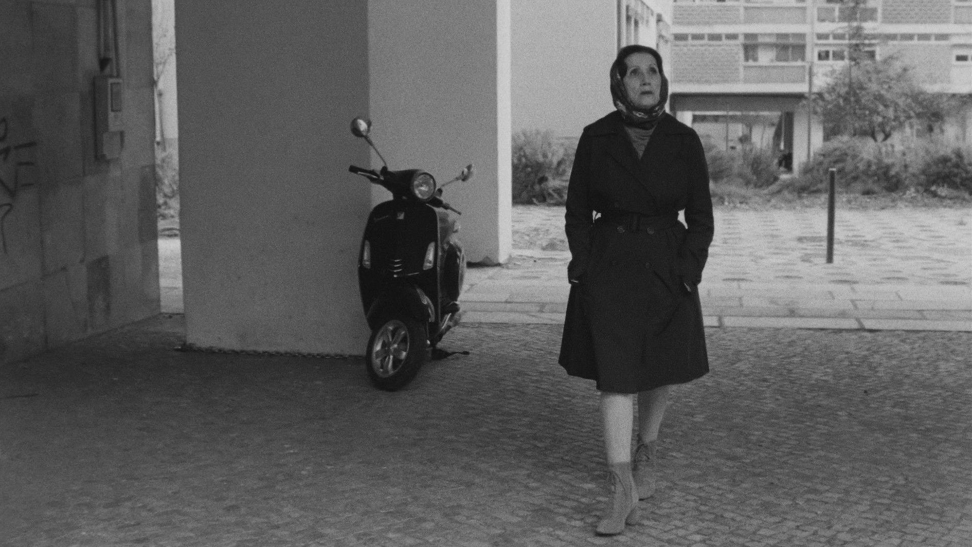 Backdrop for Where Is This Street? or With No Before or After