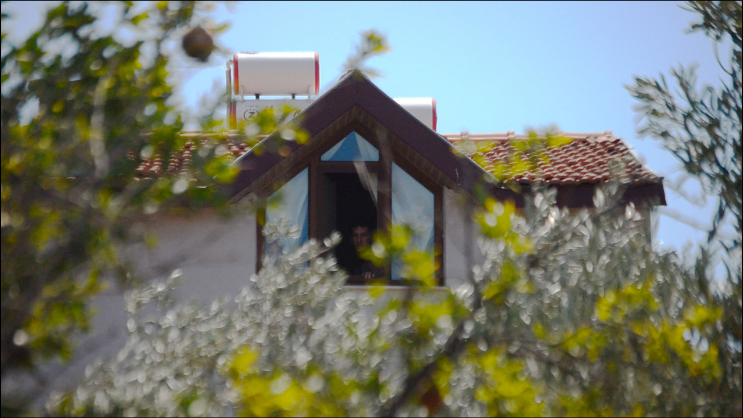 Backdrop for In Void