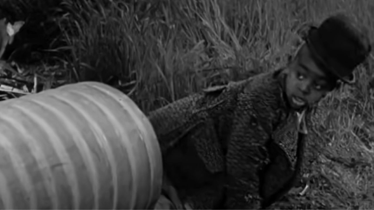 Backdrop for The Pooch